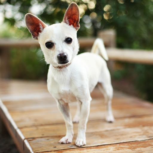 Hd-183062-ascw183062