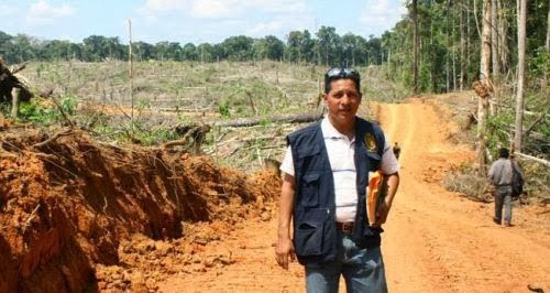 Deforestación de bosques primarios en Perú