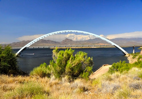 14. Roosevelt Lake June 2010-gusto