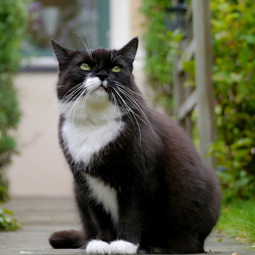 Hd-180644-ascw180644