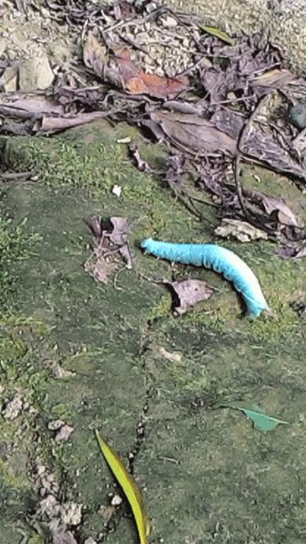 [P_20141106_1415214.gif]