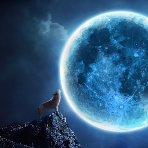 Hd-173392-ascw173392