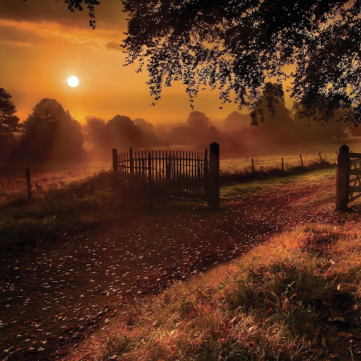 Hd-164247-ascw164247