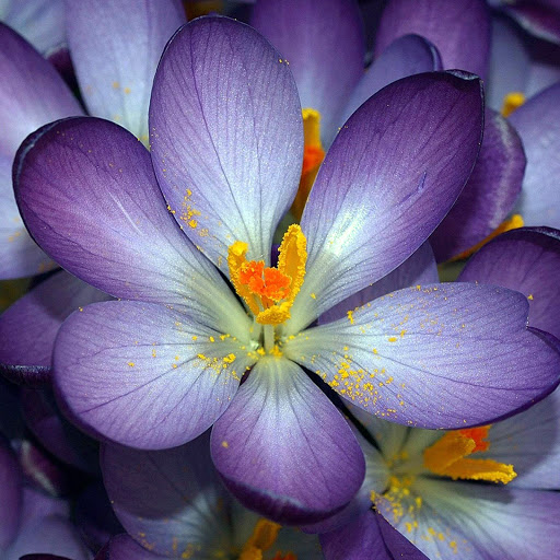 Hd-161280-ascw161280