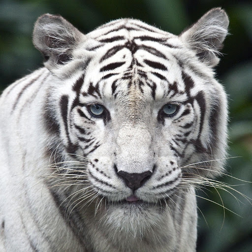 Hd-180367-ascw180367