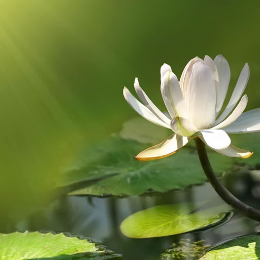 Hd-146745-ascw146745