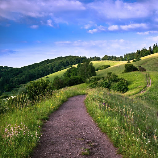 Hd-164563-ascw164563