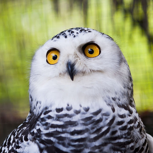 Hd-152777-ascw152777