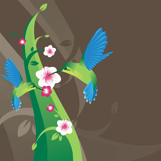 Hd-136051-ascw136051