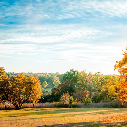 Hd-141965-ascw141965