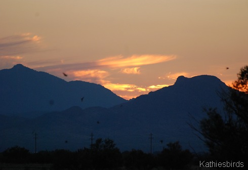 15. Lake cochise sunset-kab