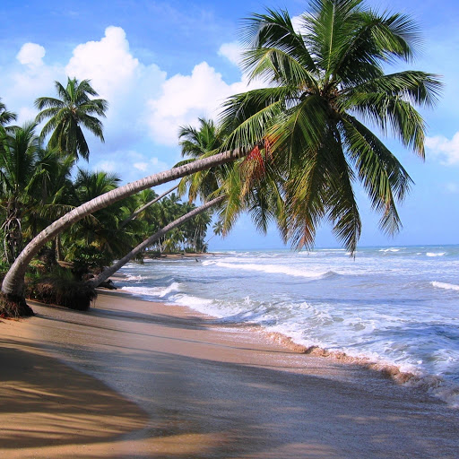 Hd-164558-ascw164558