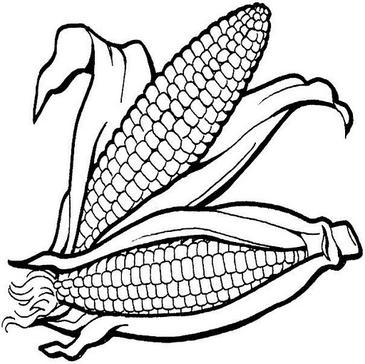 CORN COLORING PAGES