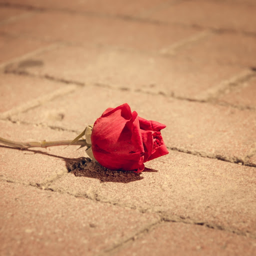 Hd-169435-ascw169435