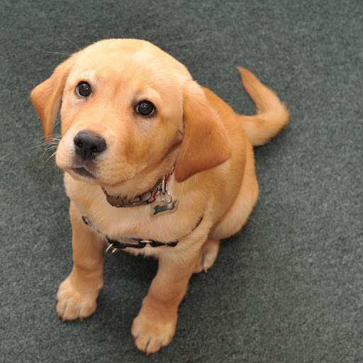 Hd-160559-ascw160559