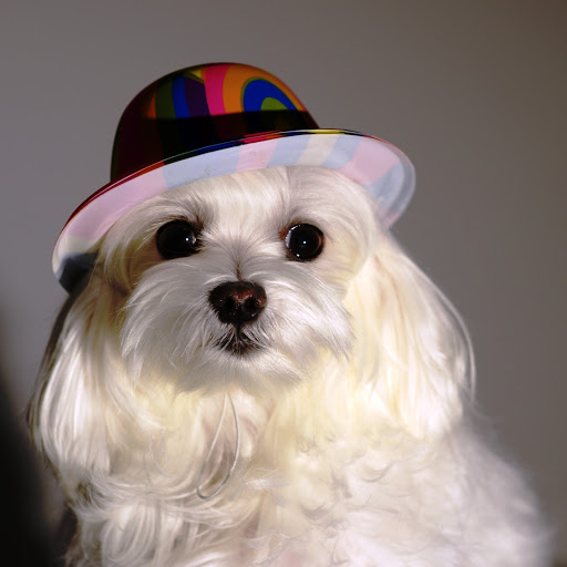 Hd-150386-ascw150386