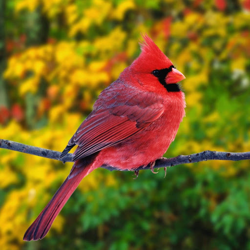 Hd-178065-ascw178065