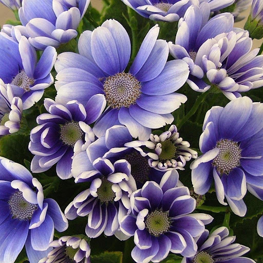 Hd-149251-ascw149251