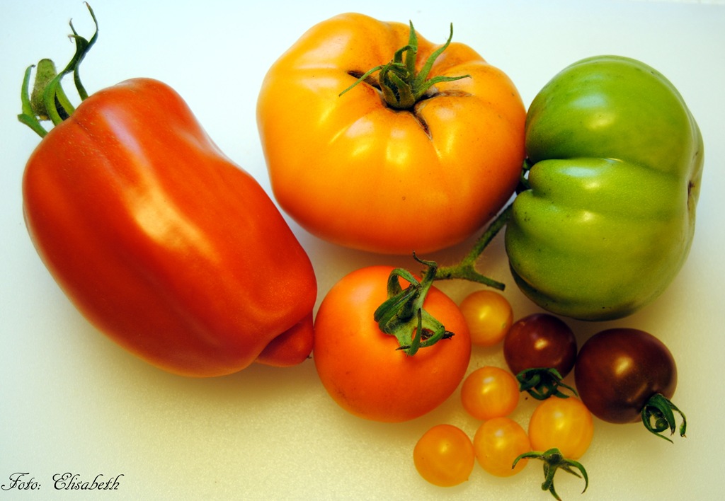 [Tomater--2011-0044.jpg]