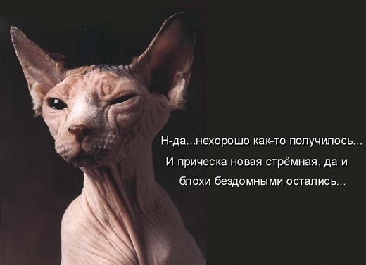 [864146%255B3%255D.jpg]