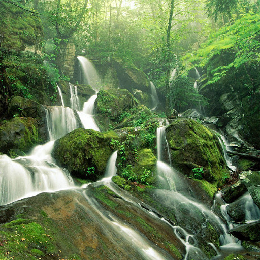 Hd-168725-ascw168725