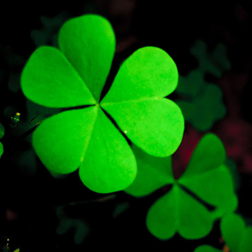 Hd-141452-ascw141452