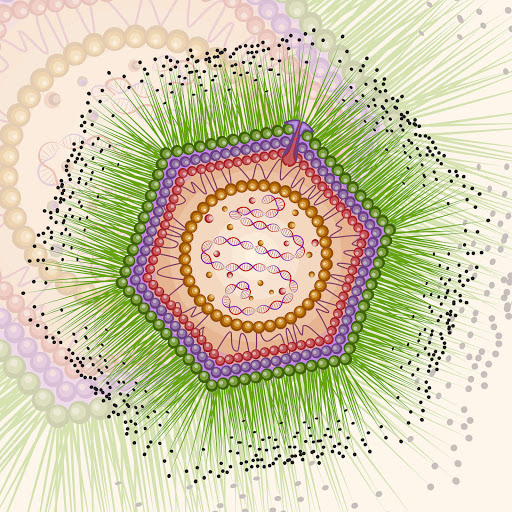 Hd-167548-ascw167548