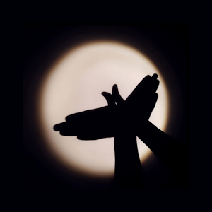 Shadow Play 2.0