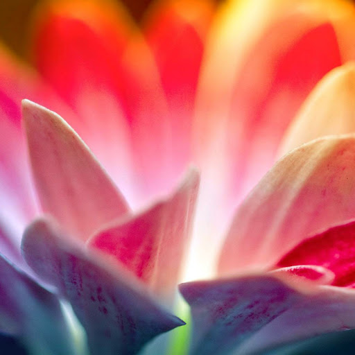 Hd-137956-ascw137956