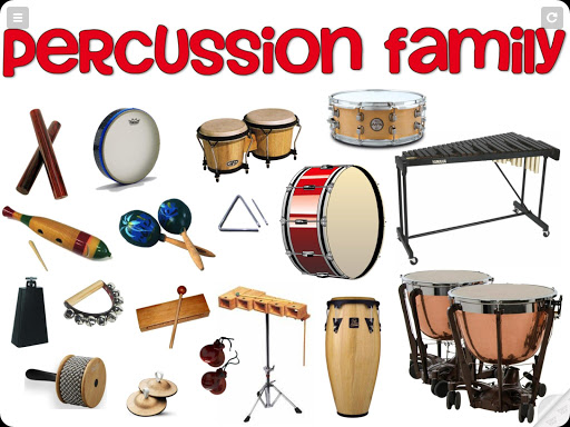 Percussion Instruments Family