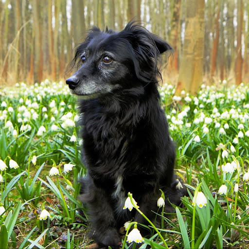 Hd-142047-ascw142047