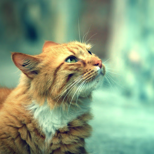 Hd-164963-ascw164963