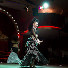 IMG_7233.jpg