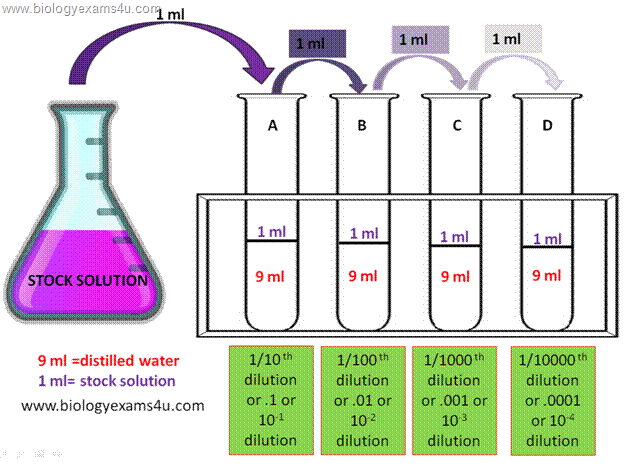 Serial dilution Serial dilution