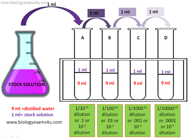 Serial dilution