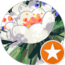 Image Google de Agnes Yess AS