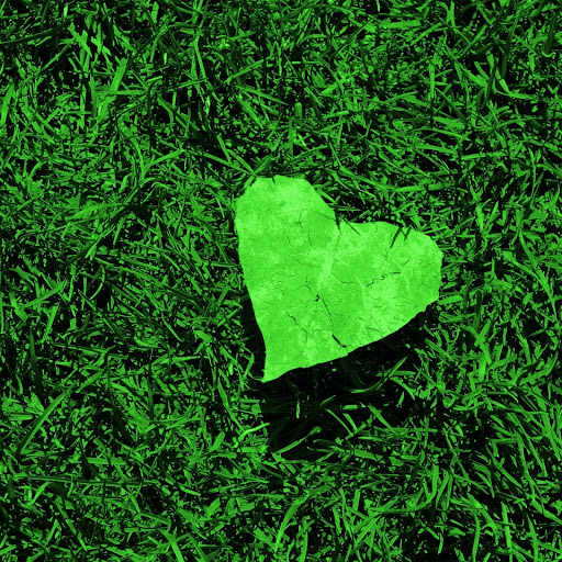 Hd-171317-ascw171317