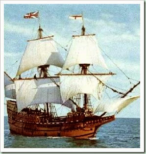 mayflower (1)