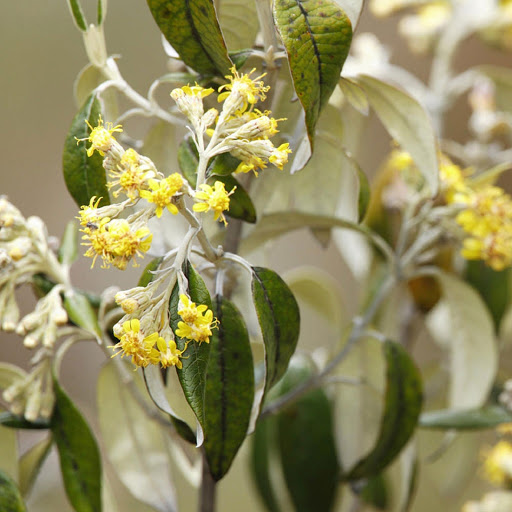 Hd-179848-ascw179848