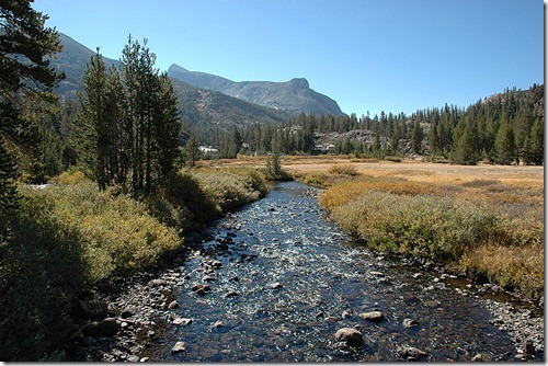 Junction Creek 2