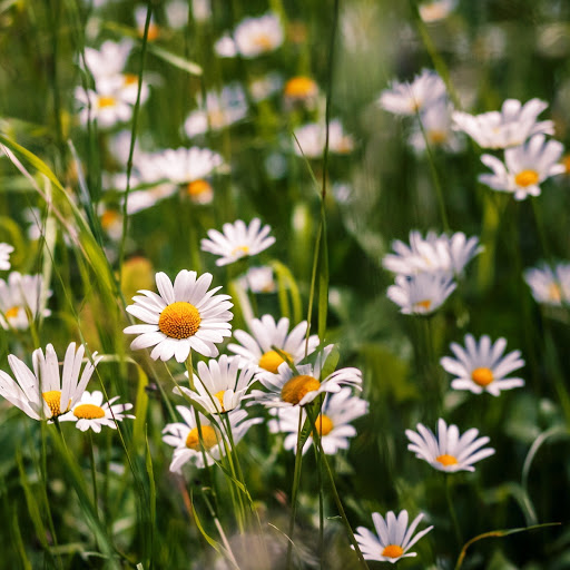 Hd-151159-ascw151159