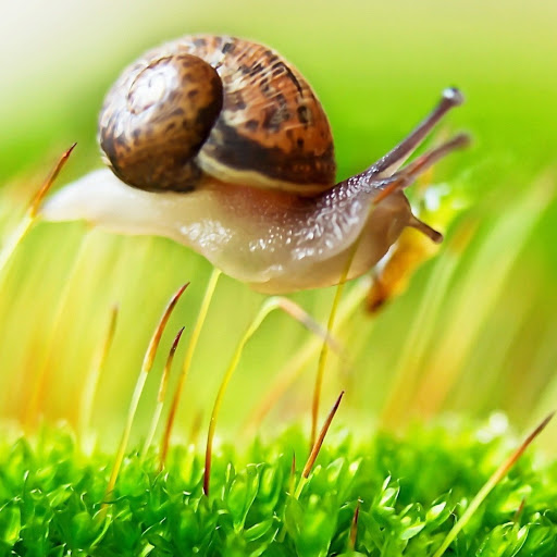 Hd-180423-ascw180423