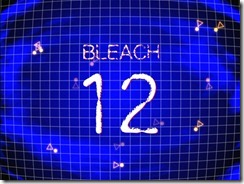 Bleach 12 Title
