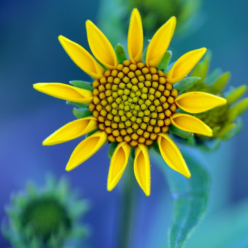 Hd-179872-ascw179872