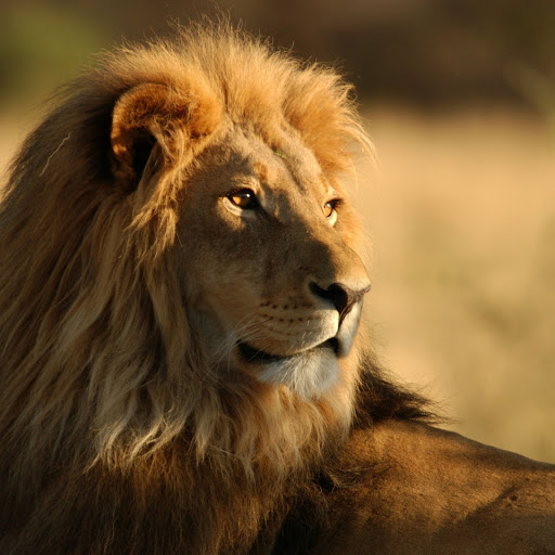 Hd-146059-ascw146059