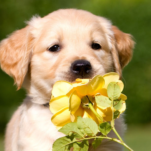 Hd-142886-ascw142886