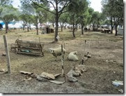 IMG_8350 IMG_8350