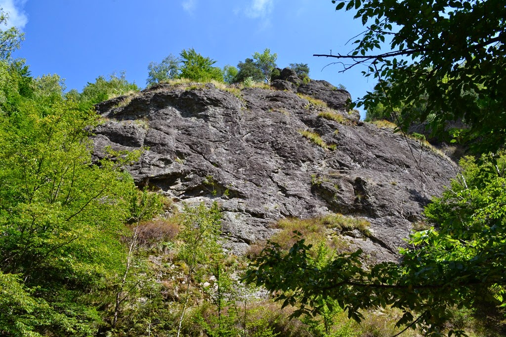 [DSC_77363.jpg]