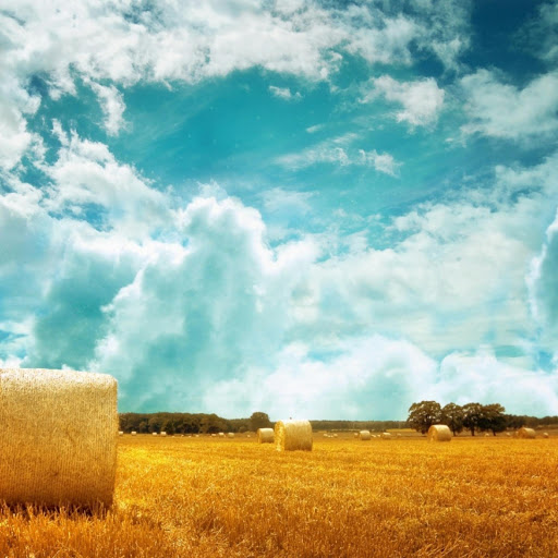 Hd-182014-ascw182014