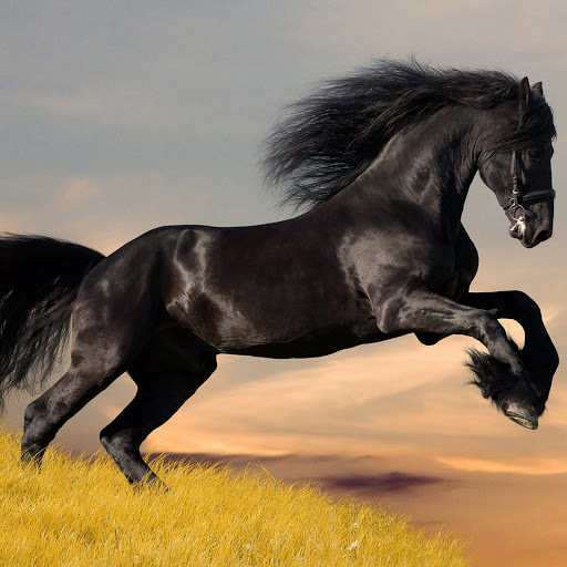 Hd-140683-ascw140683